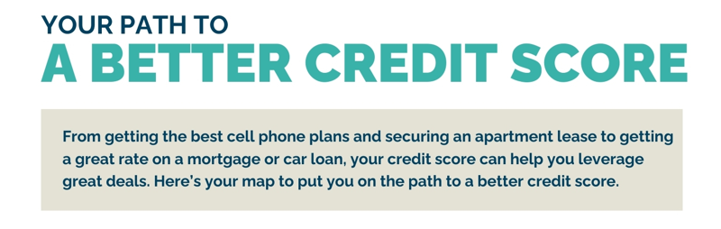 Path to better Credit Score